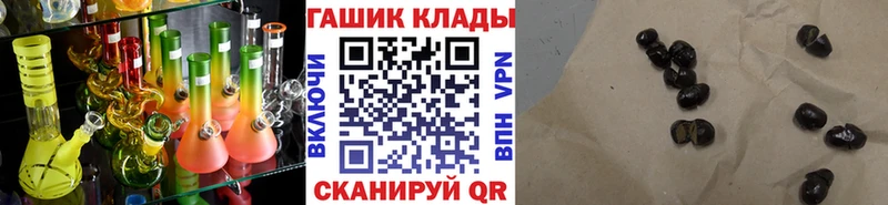 ГАШ Premium Гурьевск